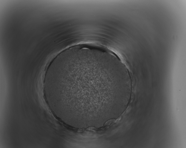 X0000089680337200706281402