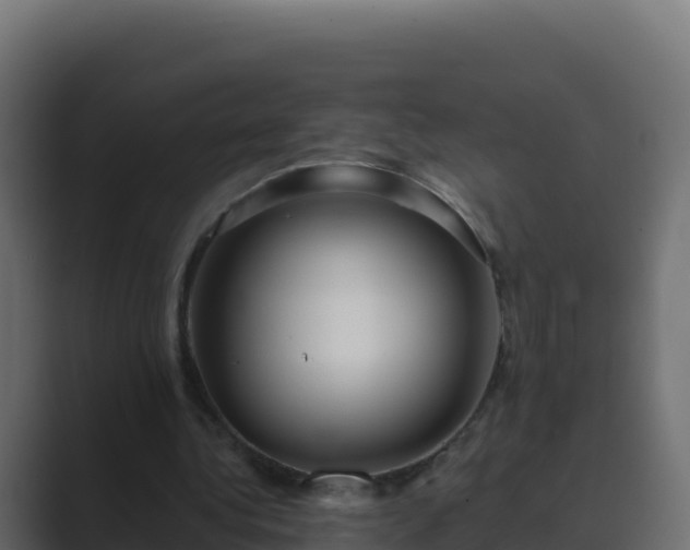 X0000089680340200706281402