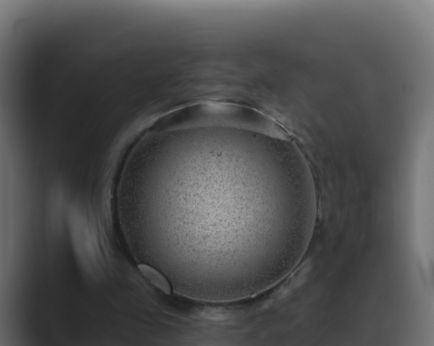 X0000089680341200706281402