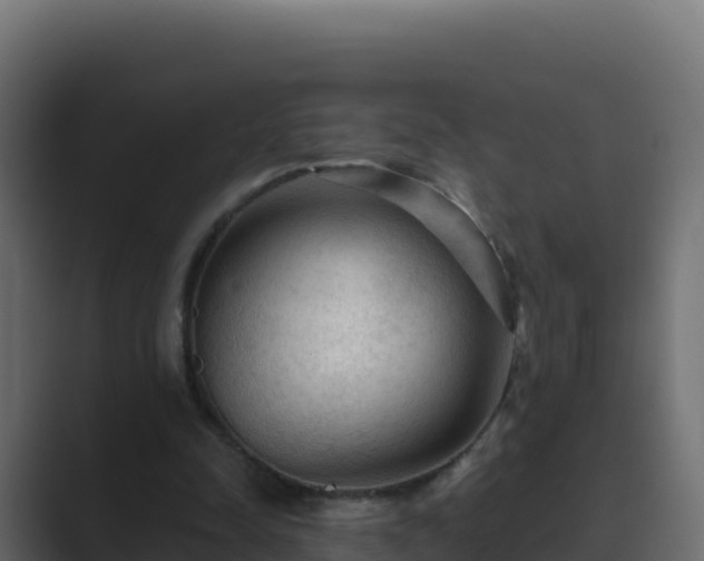 X0000089680342200706281402