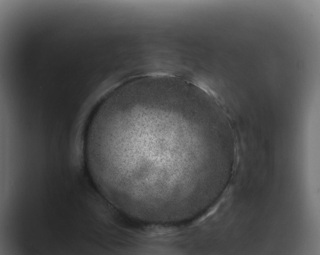 X0000089680343200706281402