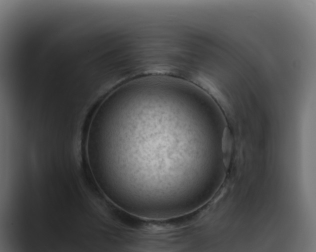 X0000089680346200706281402