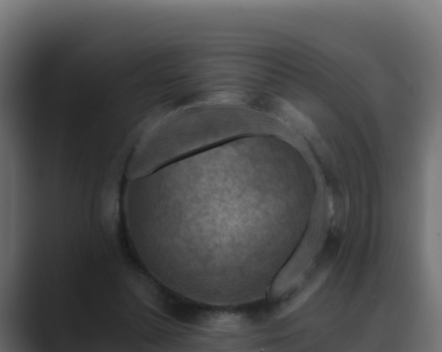 X0000089680348200706281402