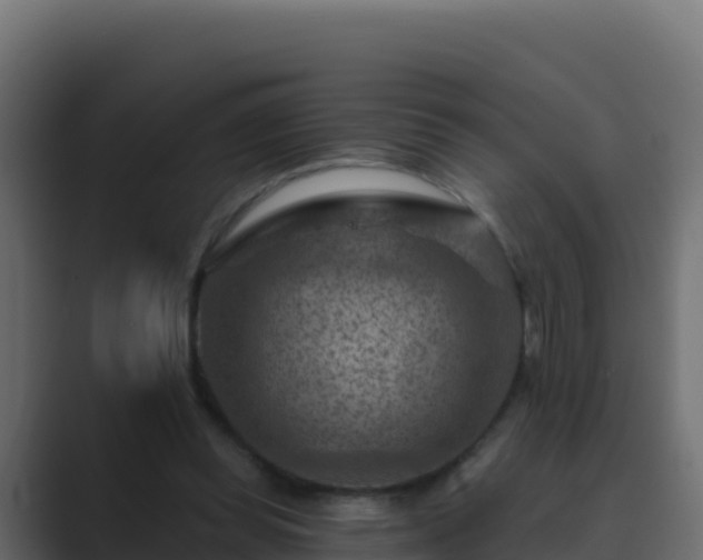 X0000089680349200706281402
