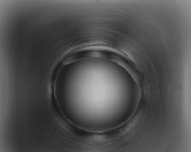 X0000089680350200706281402