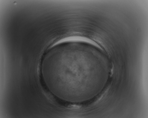 X0000089680352200706281402