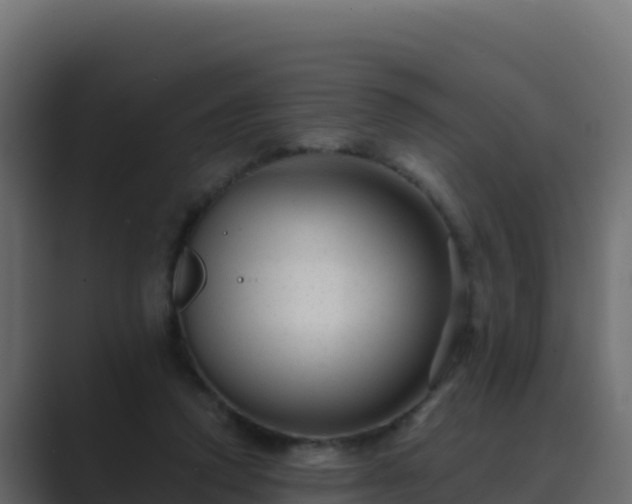 X0000089680354200706281402