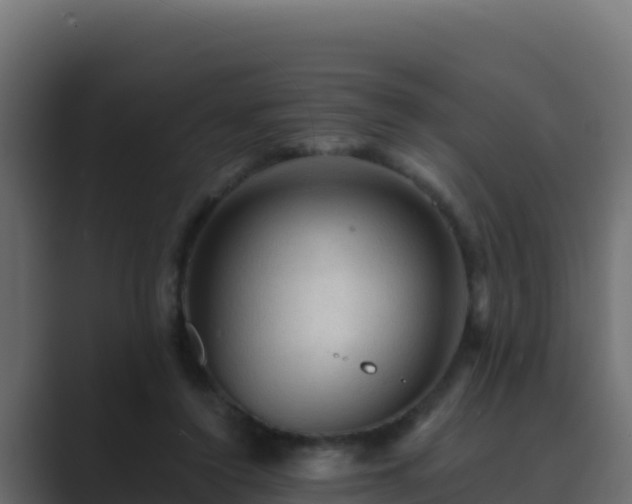 X0000089680356200706281402