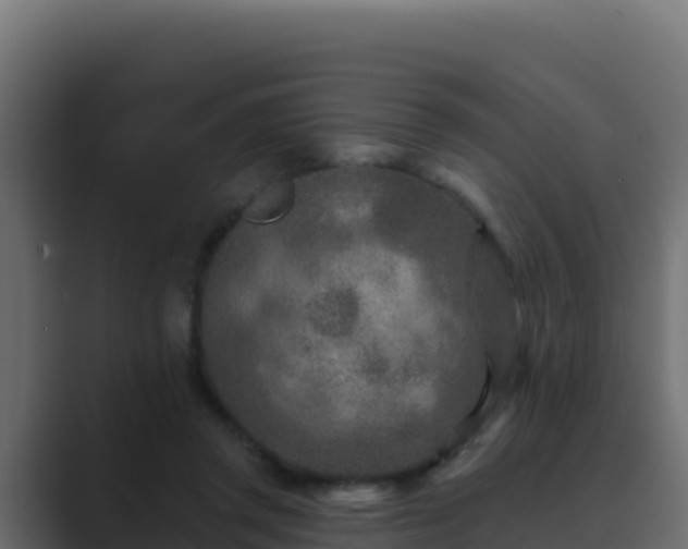 X0000089680357200706281402