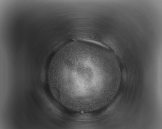 X0000089680359200706281402