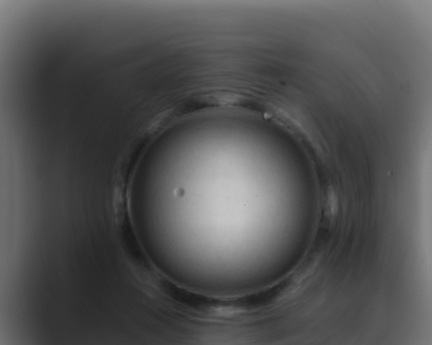 X0000089680360200706281402