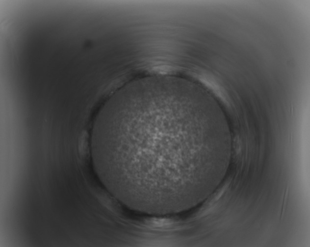 X0000089680361200706281402