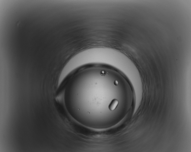 X0000089680364200706281402