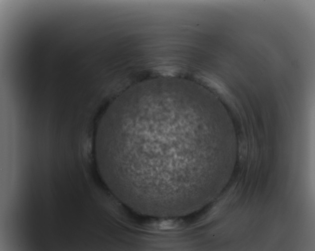 X0000089680365200706281402