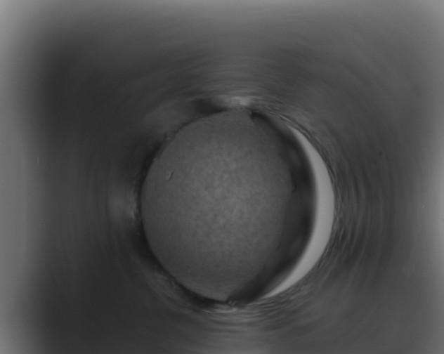 X0000089680380200706281402
