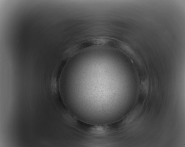 X0000089680381200706281402