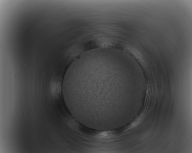 X0000089680382200706281402