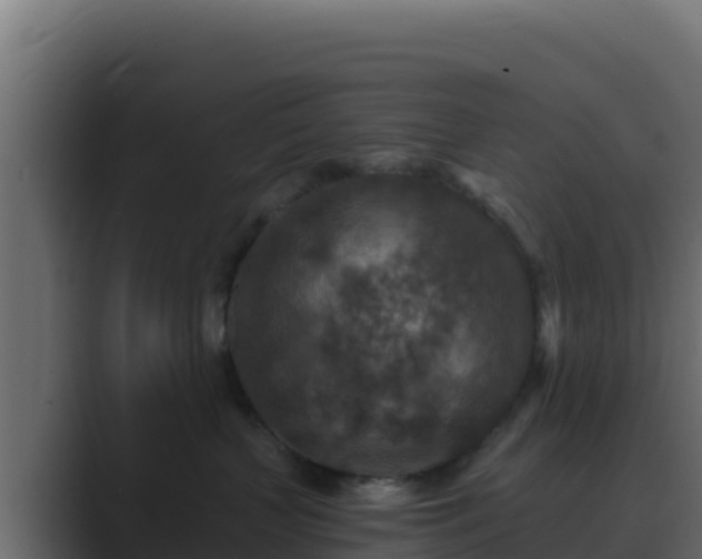 X0000089680383200706281402