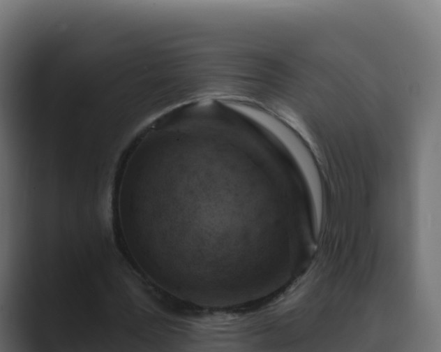 X0000089680387200706281402