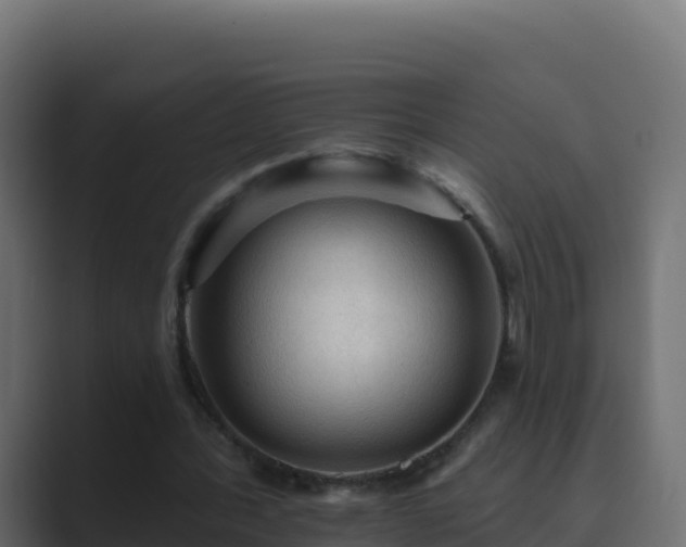 X0000089680388200706281402