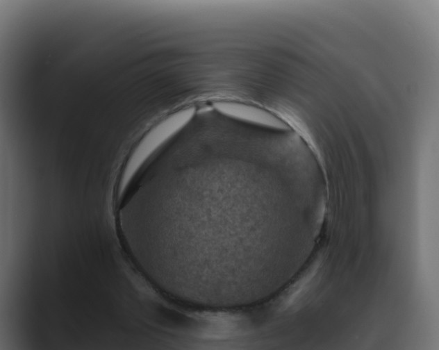 X0000089680389200706281402