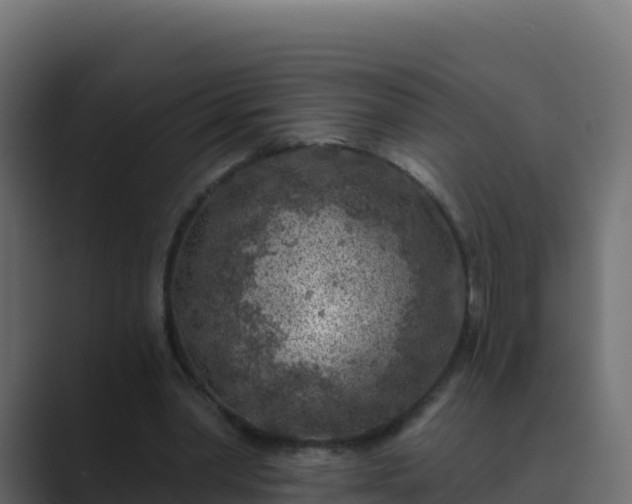 X0000089680390200706281401