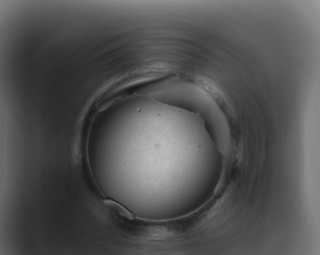 X0000089680392200706281401