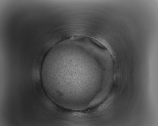 X0000089680393200706281401