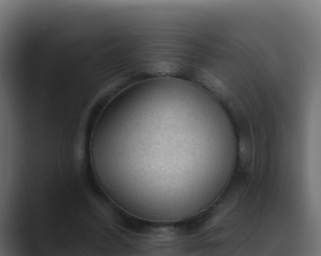 X0000089680396200706281401