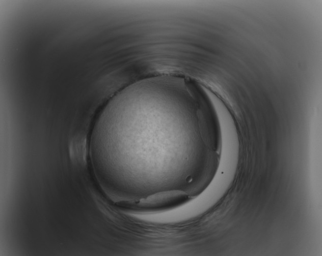 X0000089680397200706281401