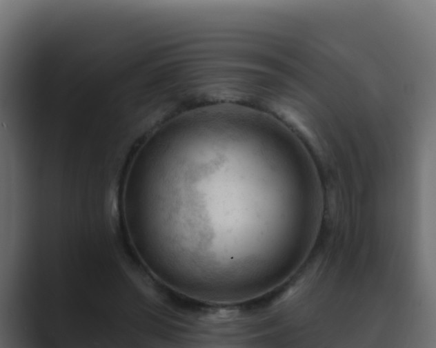 X0000089680398200706281401