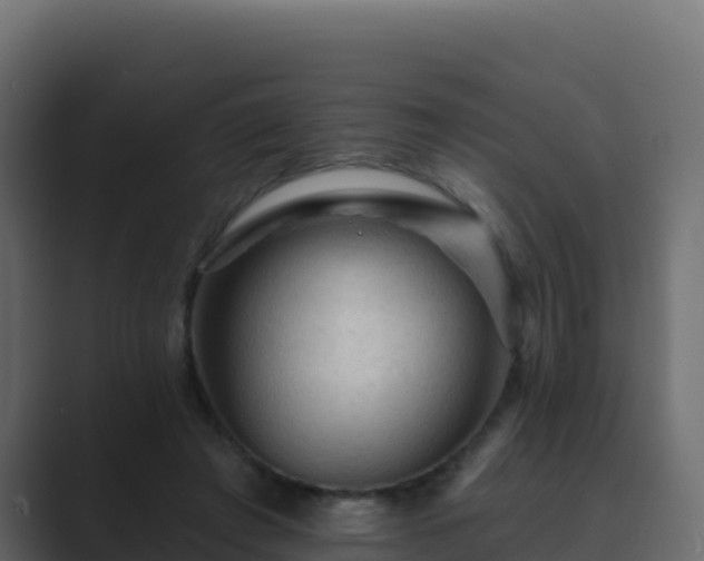X0000089680401200706281401