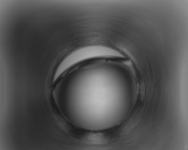 X0000089680403200706281401