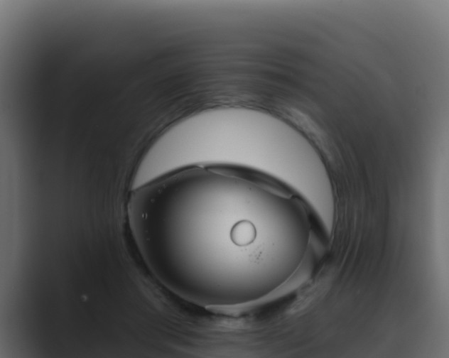 X0000089680405200706281401