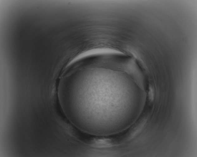 X0000089680407200706281401