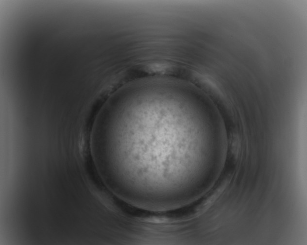 X0000089680408200706281401