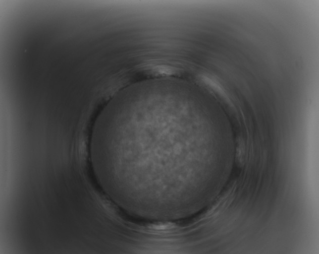 X0000089680410200706281401