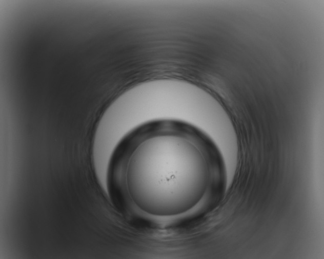 X0000089680411200706281401