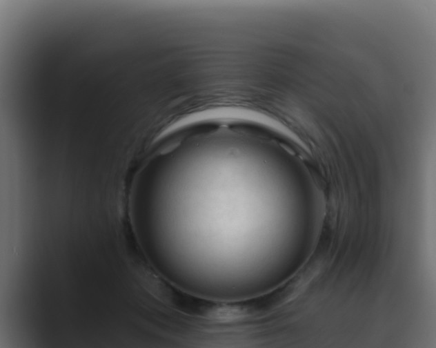 X0000089680413200706281401