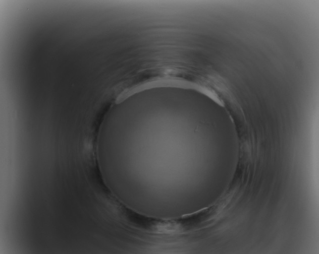 X0000089680415200706281401