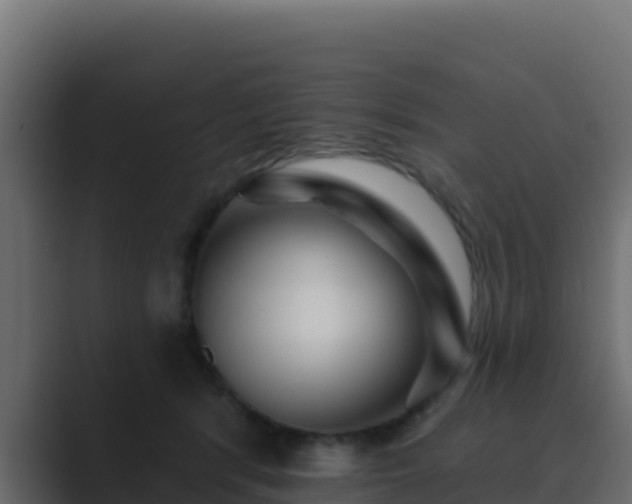 X0000089680416200706281401