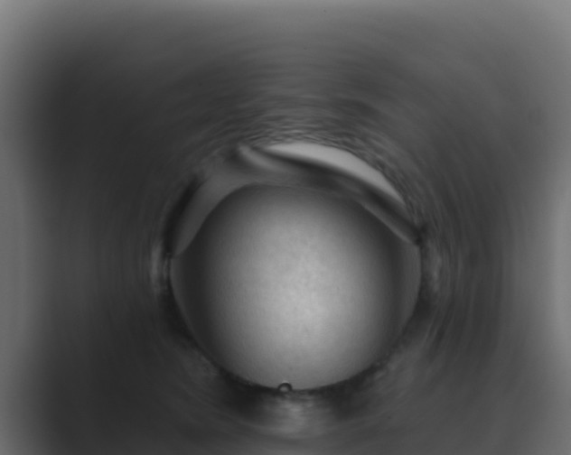 X0000089680420200706281401