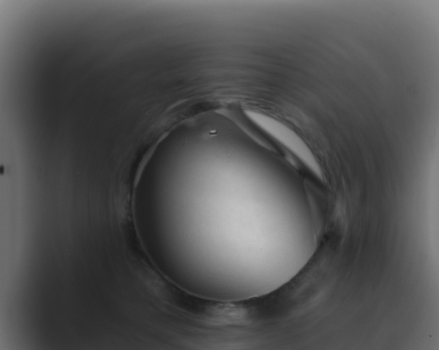 X0000089680421200706281401