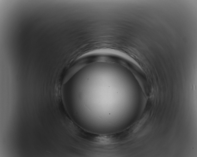 X0000089680425200706281401