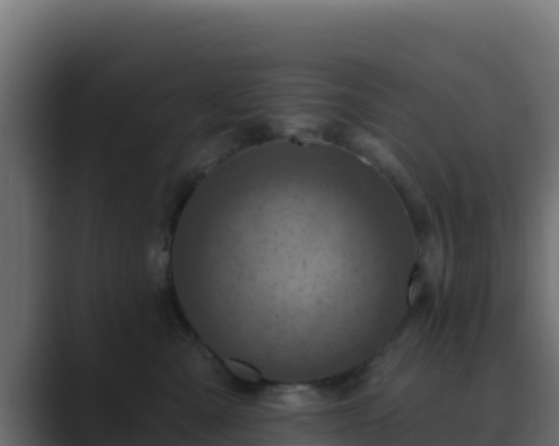 X0000089680427200706281401