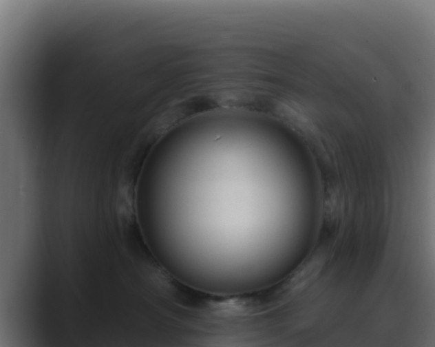 X0000089680430200706281401