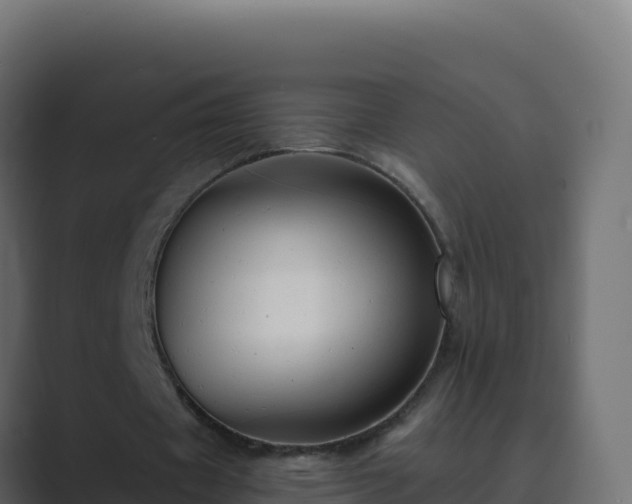 X0000089680433200706281400