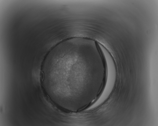 X0000089680434200706281400