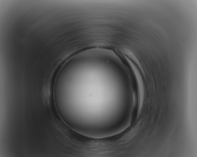 X0000089680435200706281400