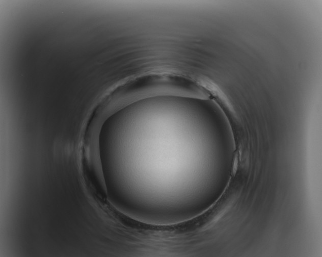 X0000089680436200706281400